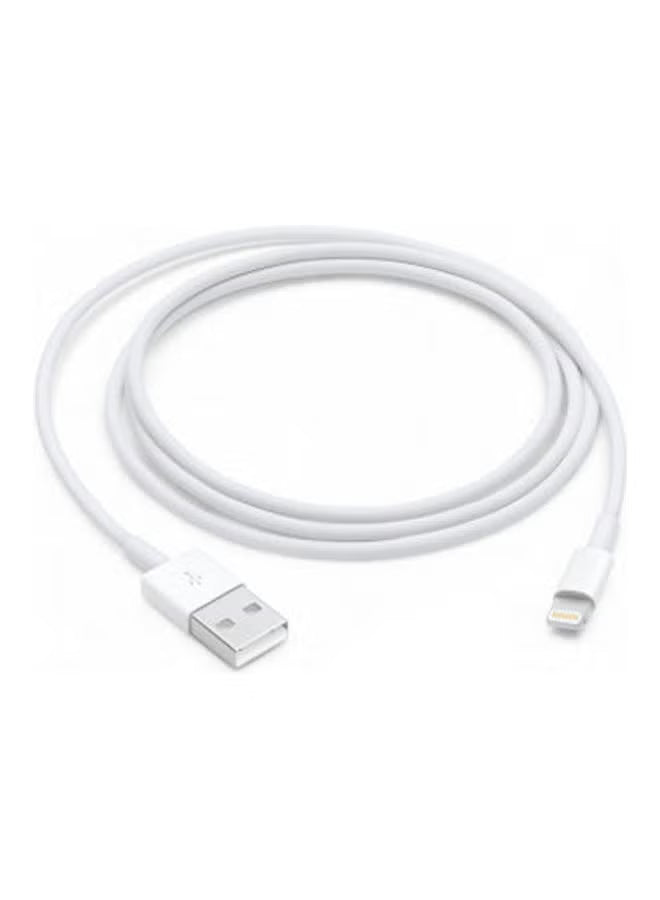Apple Lightning to USB-A Cable (1m) - White
