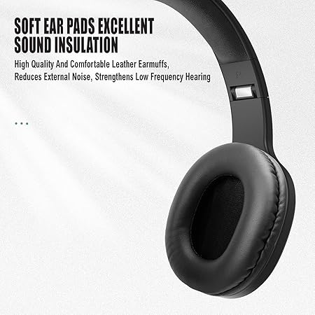 Dudao Multifunctional Wireless Earphones Bluetooth 5.0 Micro SD Card Reader FM Radio Black (X22Pro)